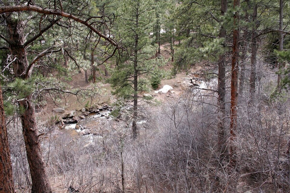 River View from Deck