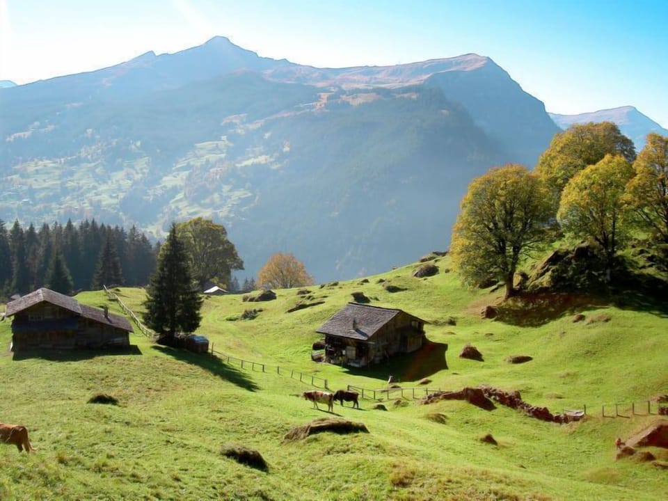 Place