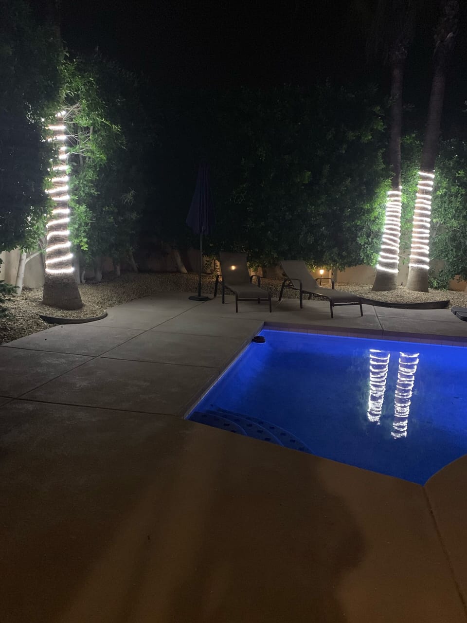 Modern lighting on palm trees