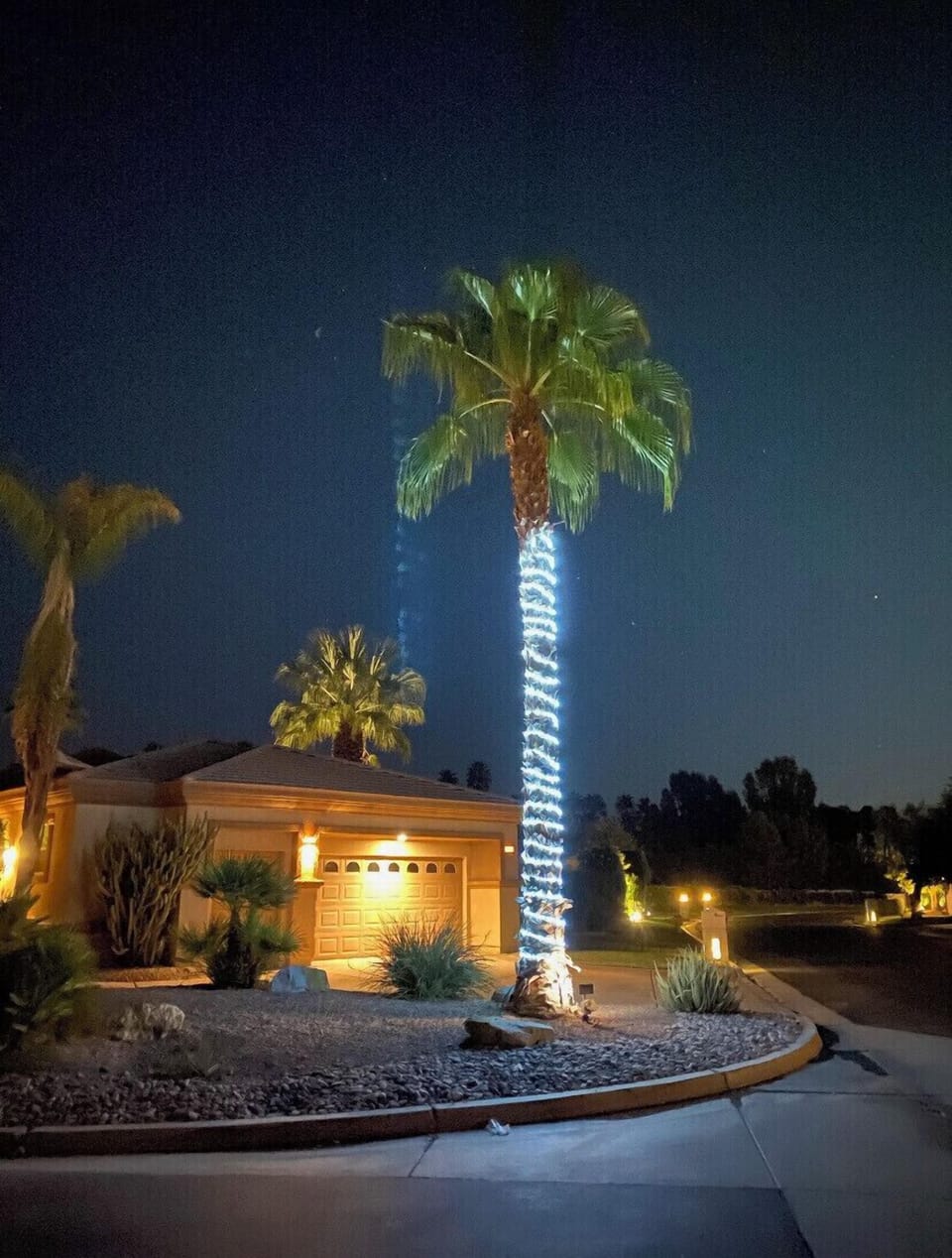This Desert Oasis is Gorgeous and peaceful🌙