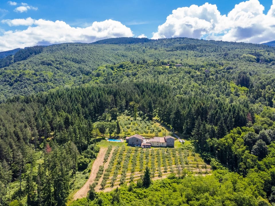 Aerial photography