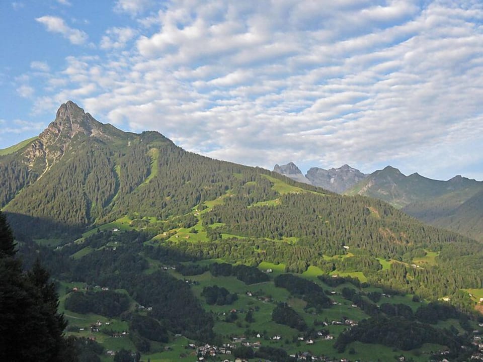View