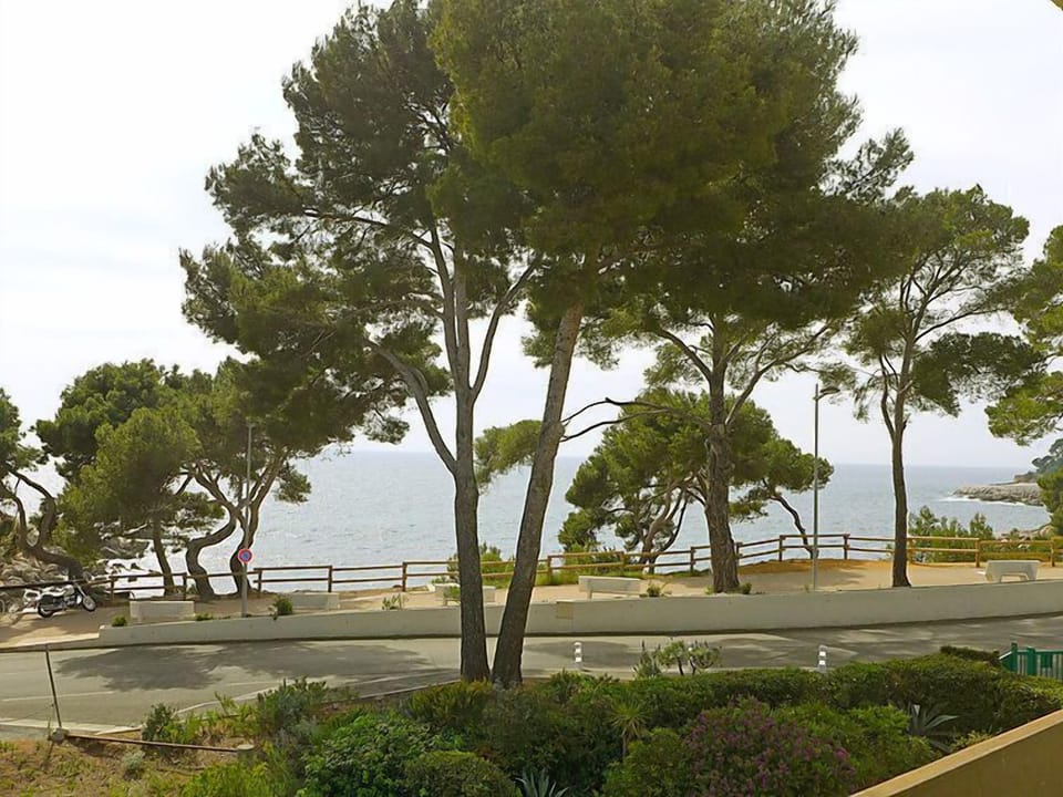 View