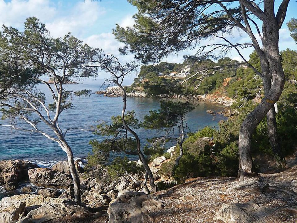 View