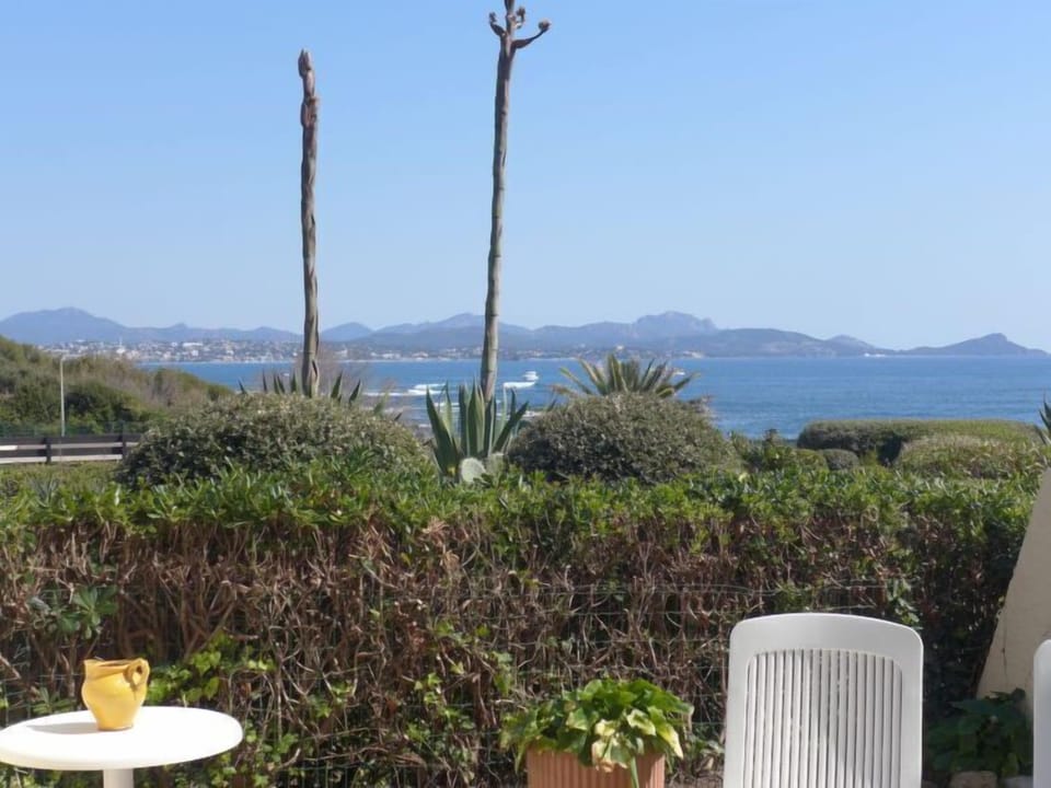 View