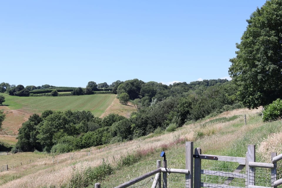 Hoods, Salwayash, near Bridport
