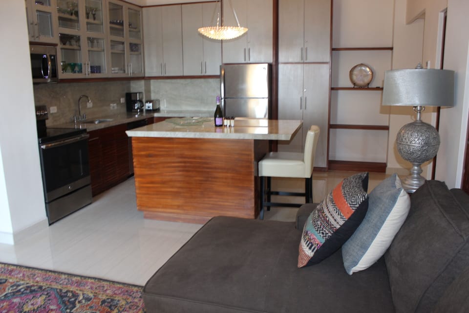 Living Room and Kitchen 