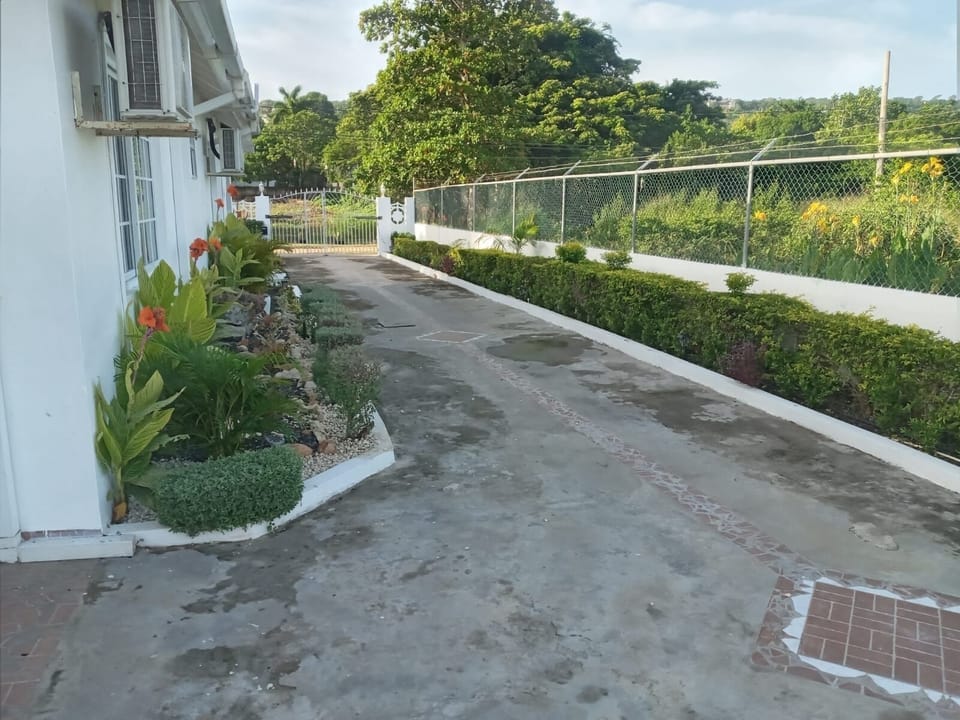 Driveway