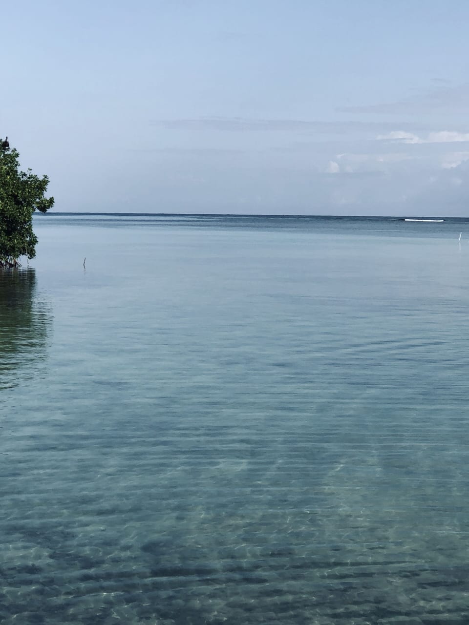 Swim Hole 