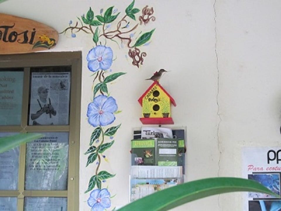Even the birds have cabins