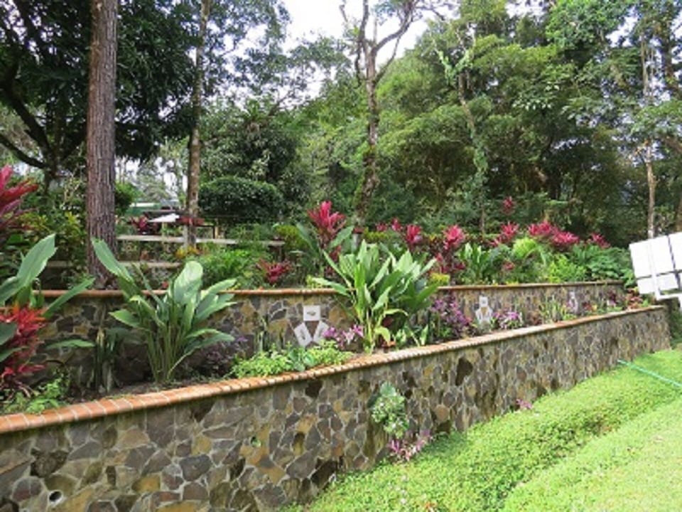 The front of Potosi
