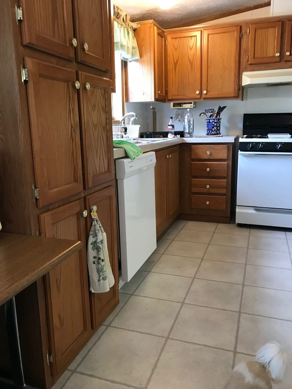 This is a view of the Kitchen