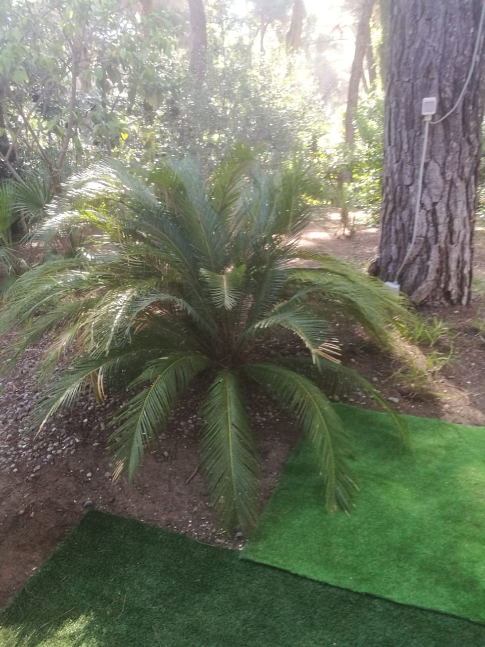 Property grounds
