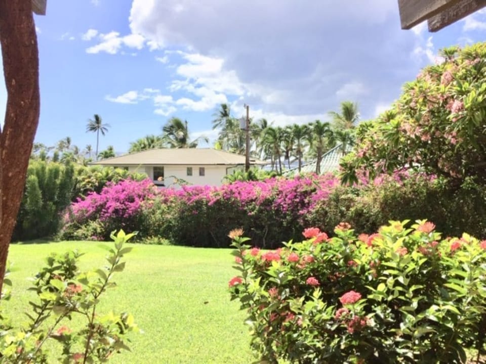 Garden view with beautiful colors and palms trees, and a sliver of the ocean.