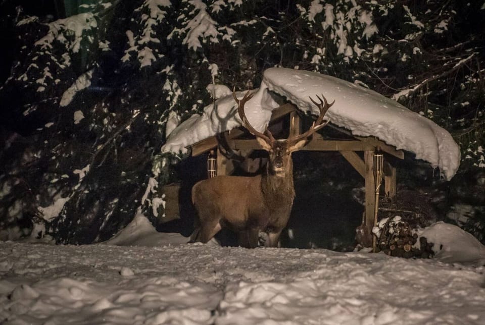 Chalet du Vouvy - In bordure du golf et des pistes Chalet in Chamonix