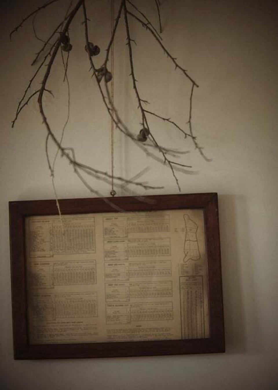 Interior detail