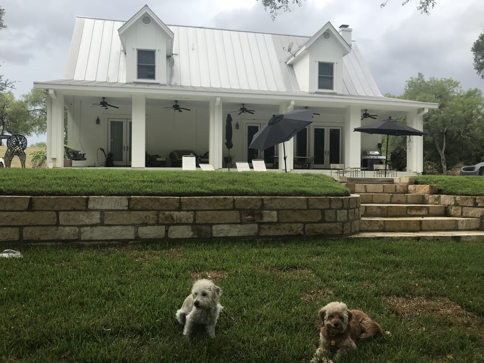 Happy pups love PM. From garden level to top floor, families enjoy whole house.
