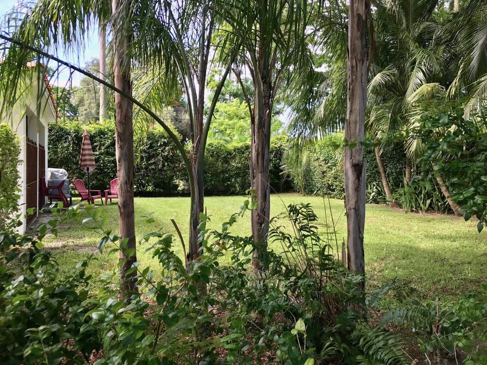 Private backyard