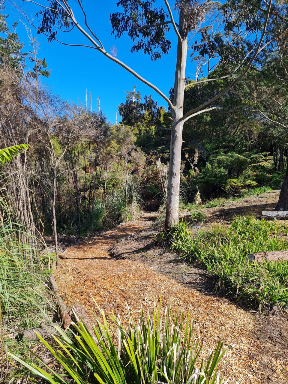 walking paths in development
