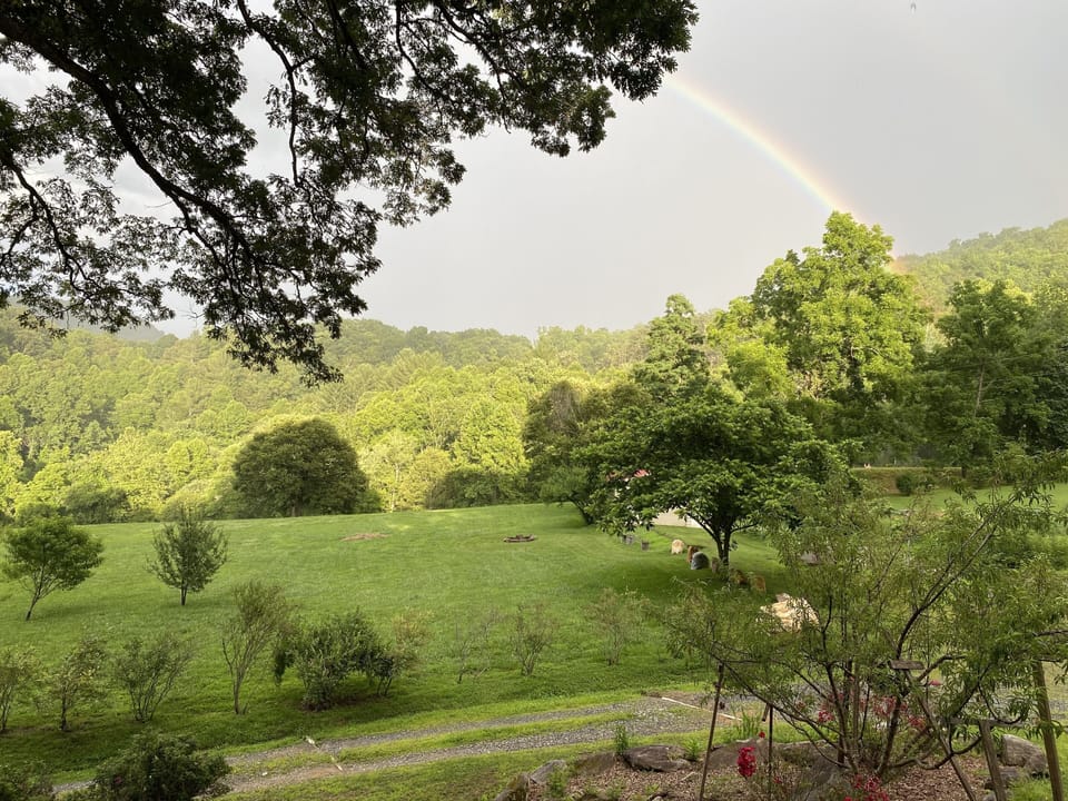 view from back porch