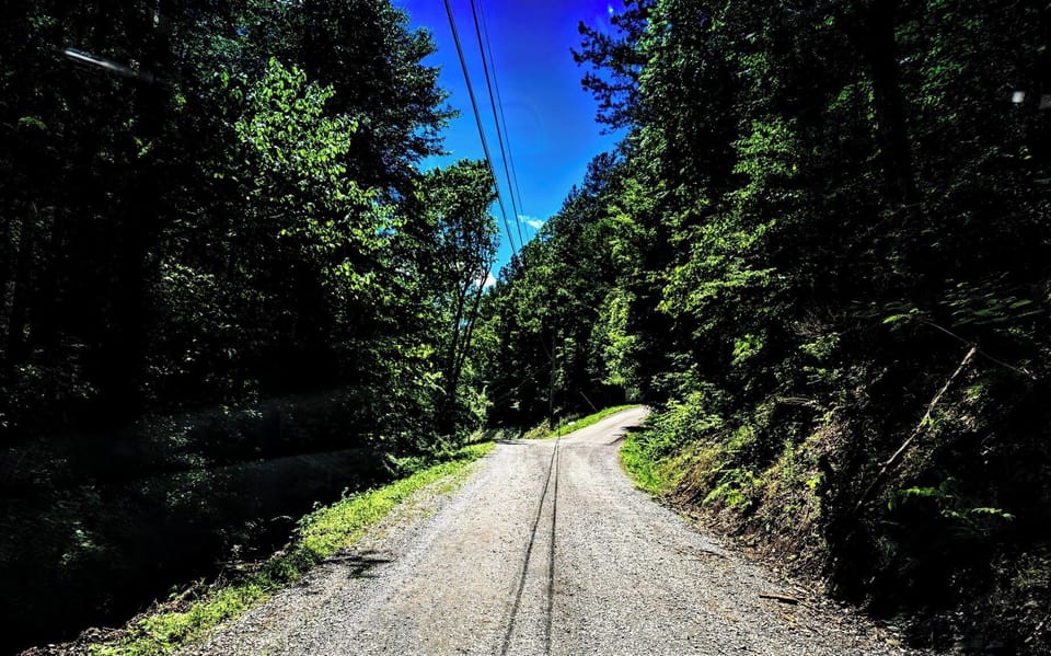On the right is the cabin's driveway, the best privacy that nature has to offer