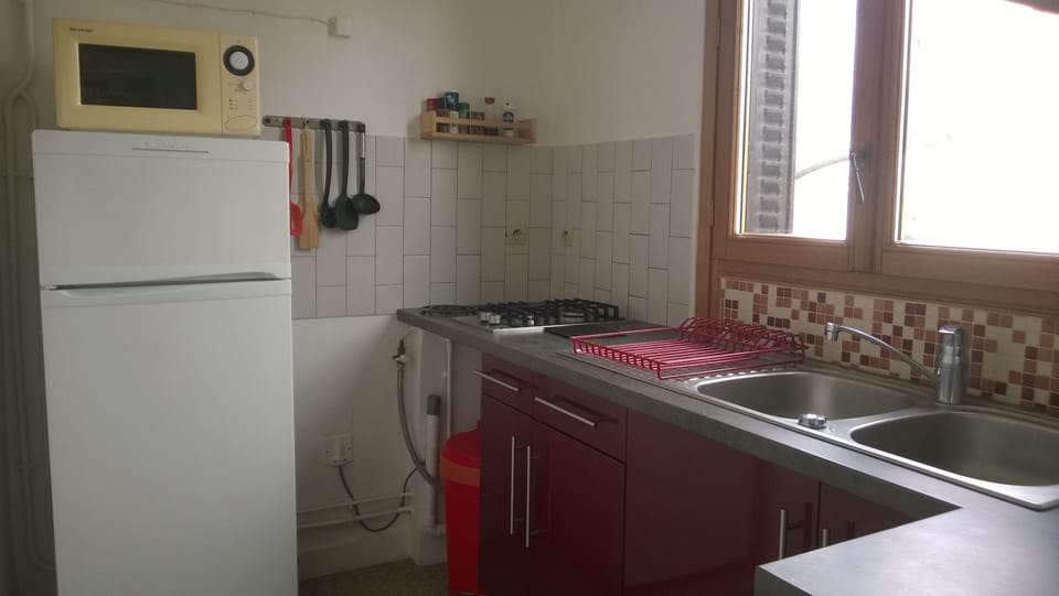 Kitchen ( fridge, micro wave, and gaz )