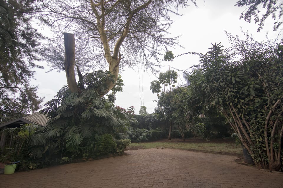 View of the larger gardens
