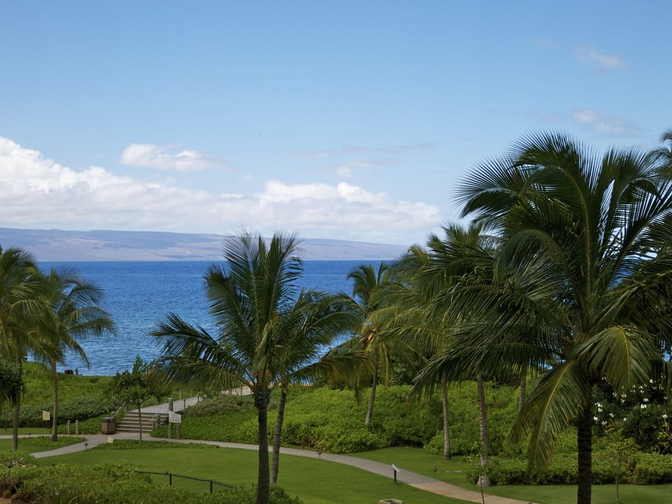 View from the lanai