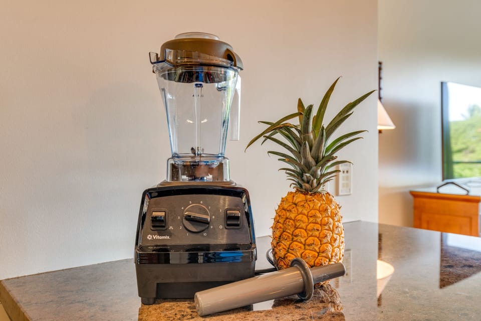 Vitamix Blender