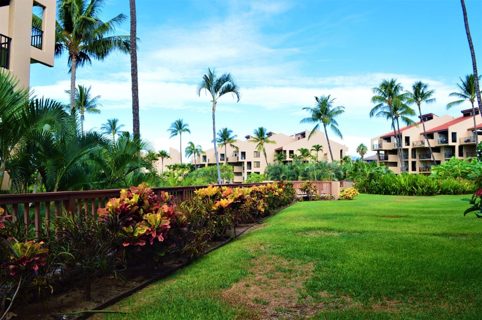 View from the patio (lanai)