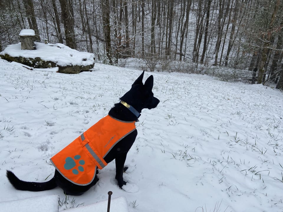 Occasional snow on grounds. 