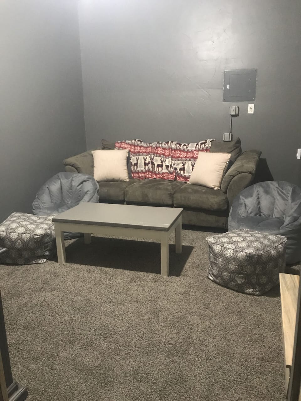 Media room with sleeper sofa and plenty of space to spread out!