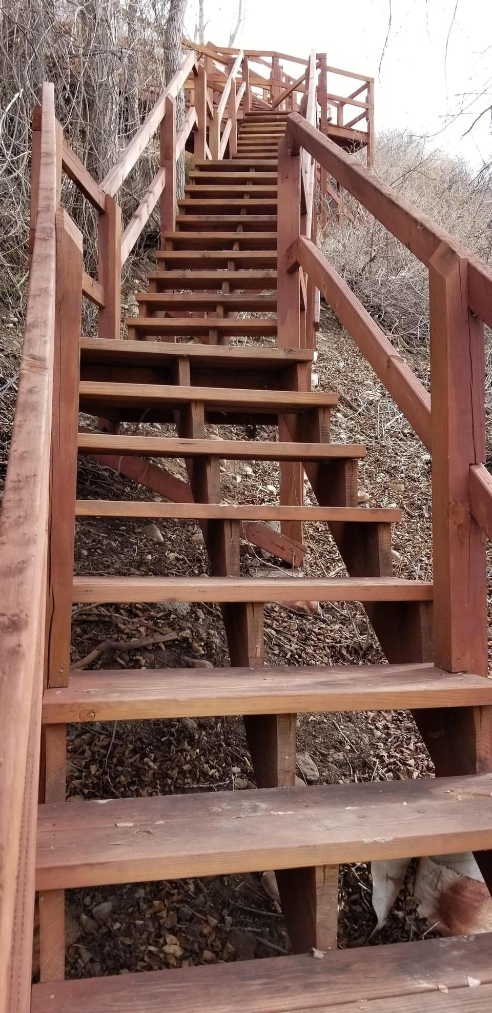 Stairway that leads from the deck to the river level! Great exercise!