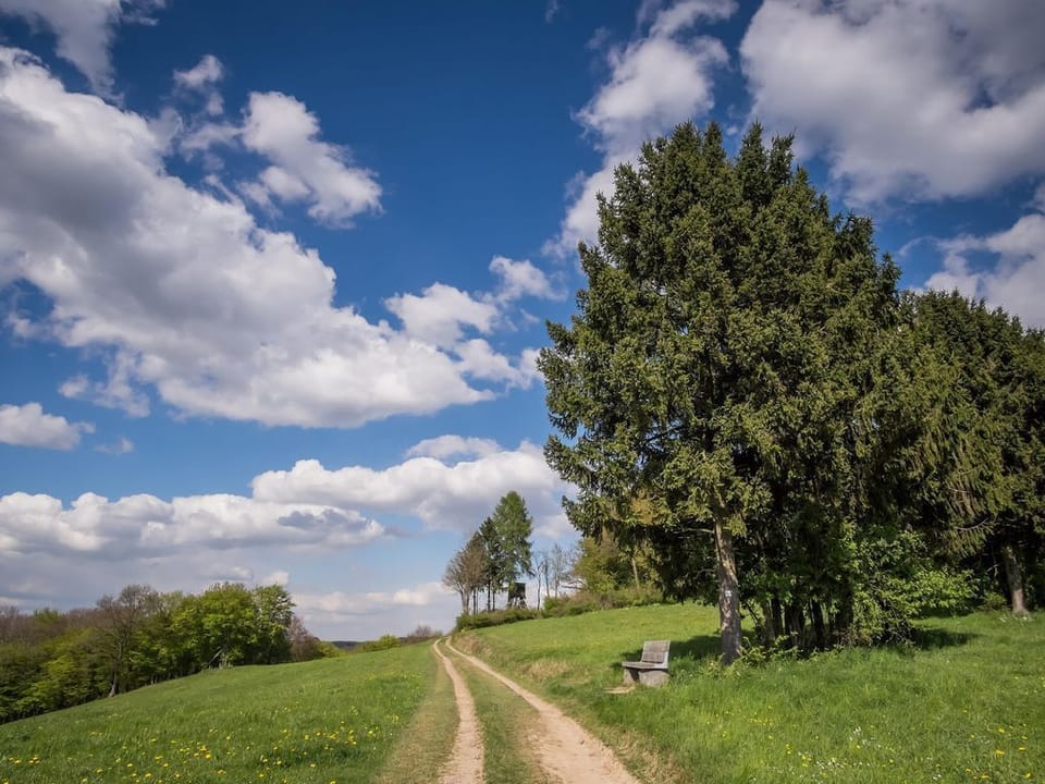 Apartment Wiedliebe Deluxe - Apartment "Wiedliebe Deluxe" Apartment in Rhineland-Palatinate