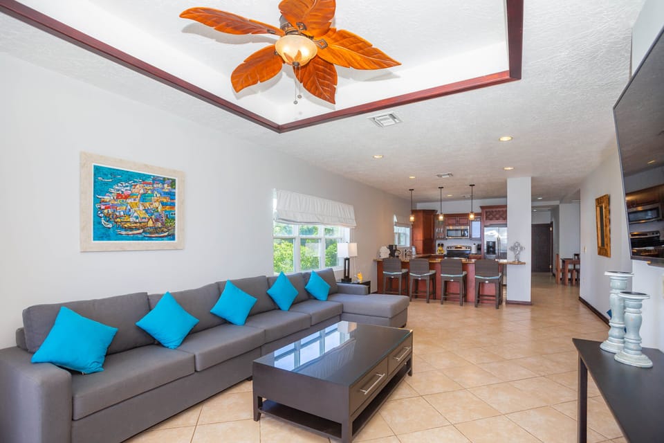 Large open living area