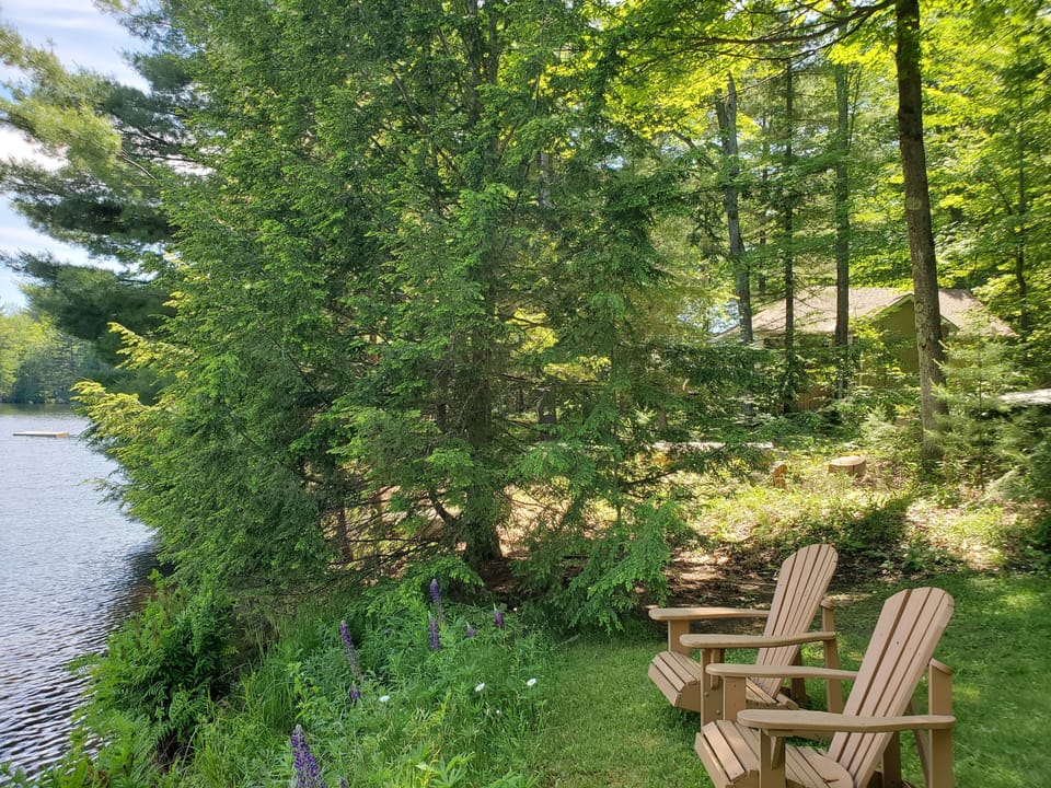 Cottage view from our property to rental cottage.  Your cottage is on the right.