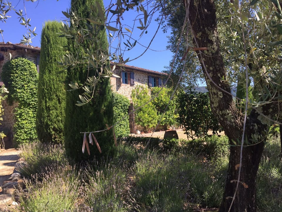 Building Exterior, Garden