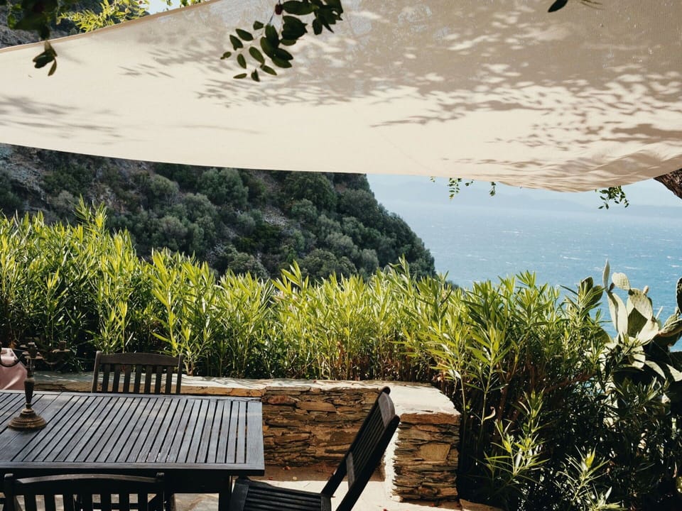 Water, Plant, Water Resources, Table, Plant Community, Nature, Green, Natural Landscape, Wood, Shade