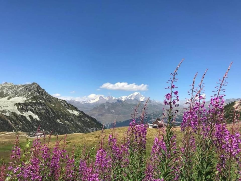 Region [summer] (>5 km)