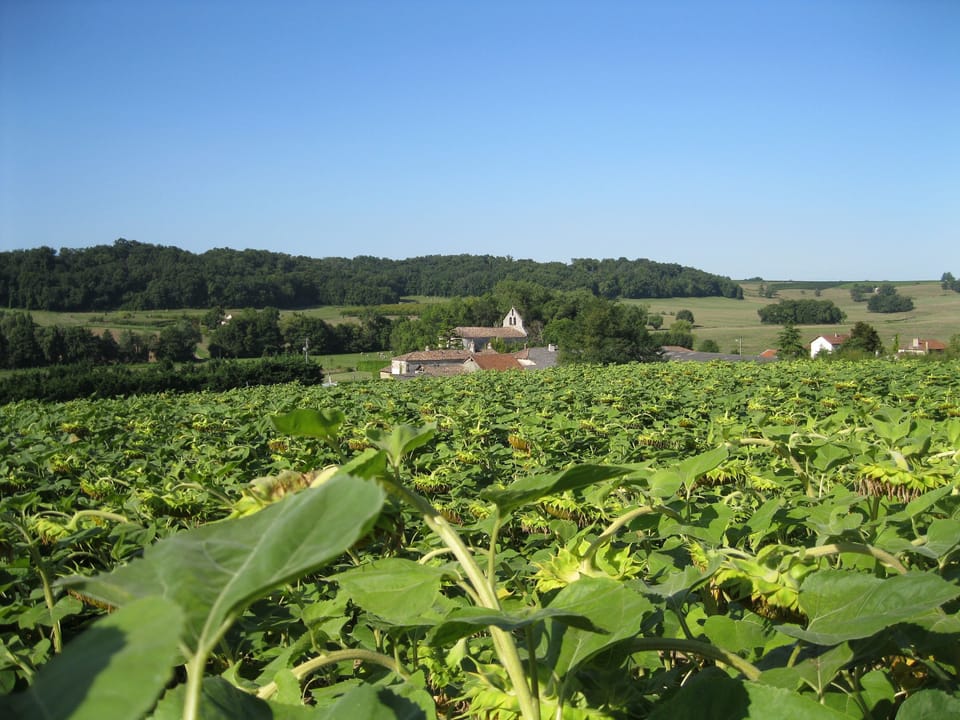 Village view