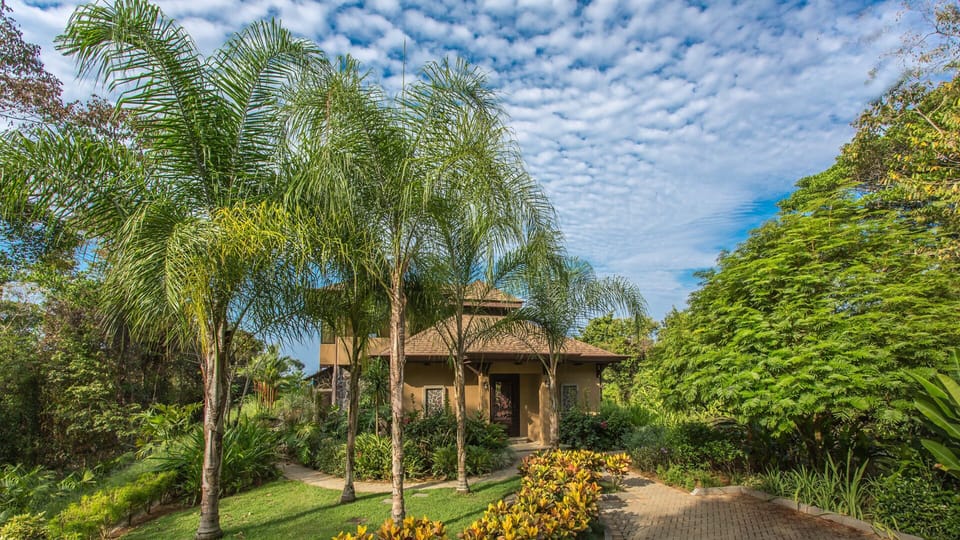 Beautifully Manicured Yard