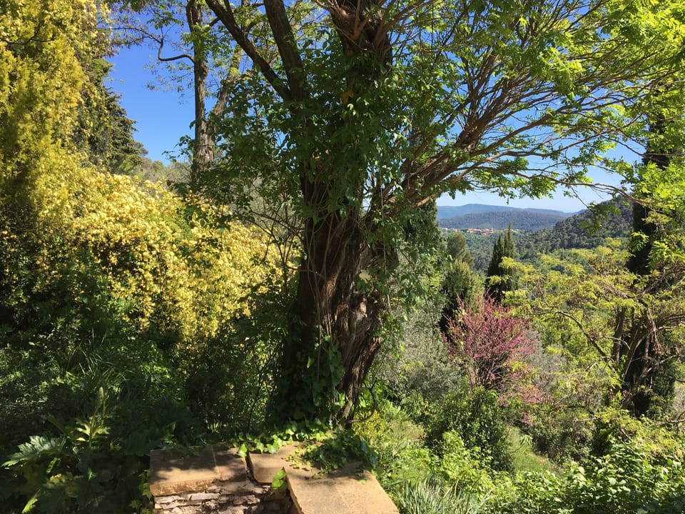 East garden in spring