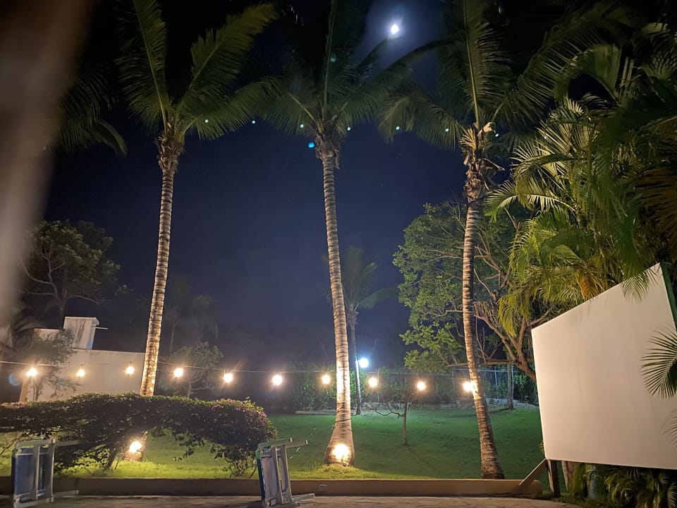 🌕 