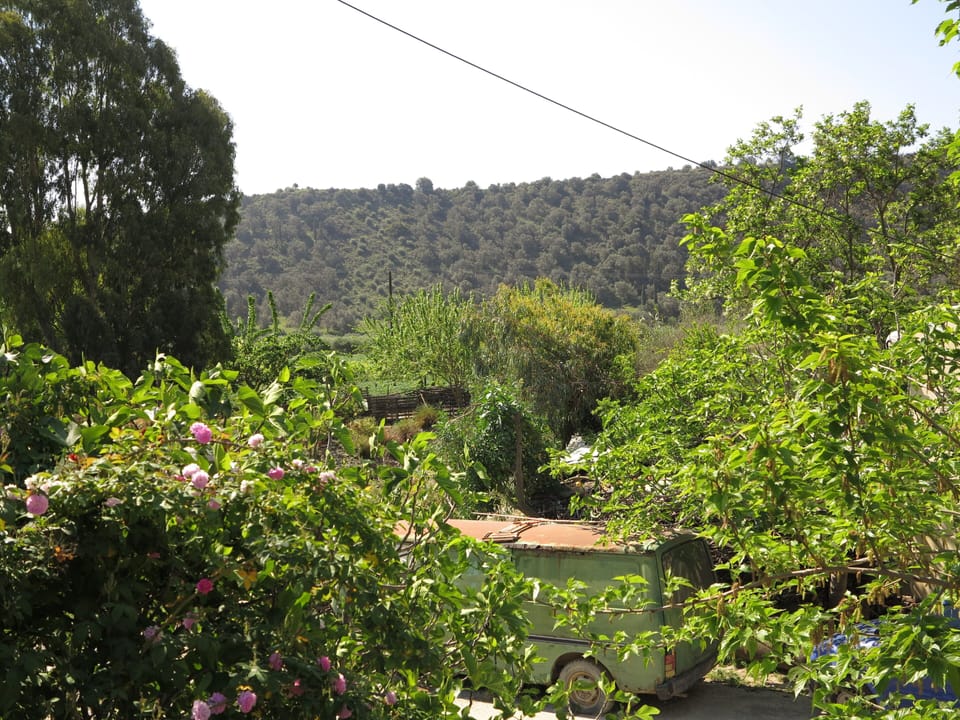 View from the terrace in spring