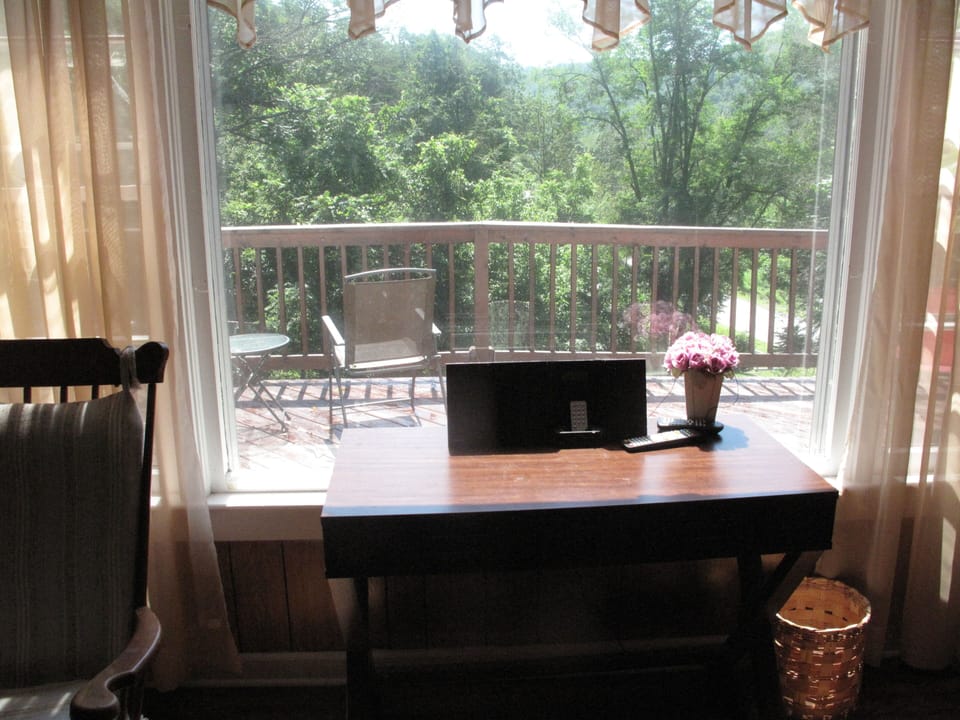 View from living room window to front deck.