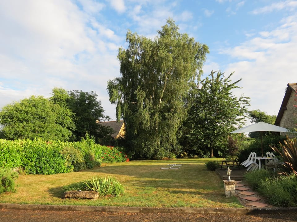 Garden 2