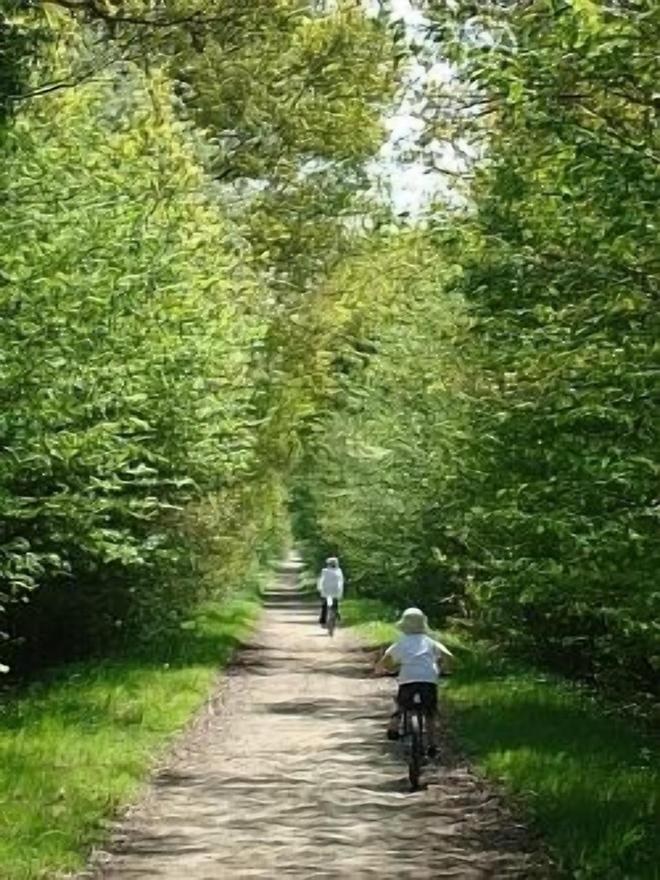 The beautiful countryside on your doorstep.