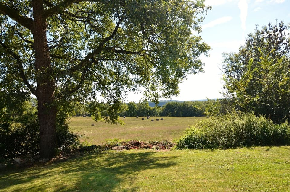 View from garden