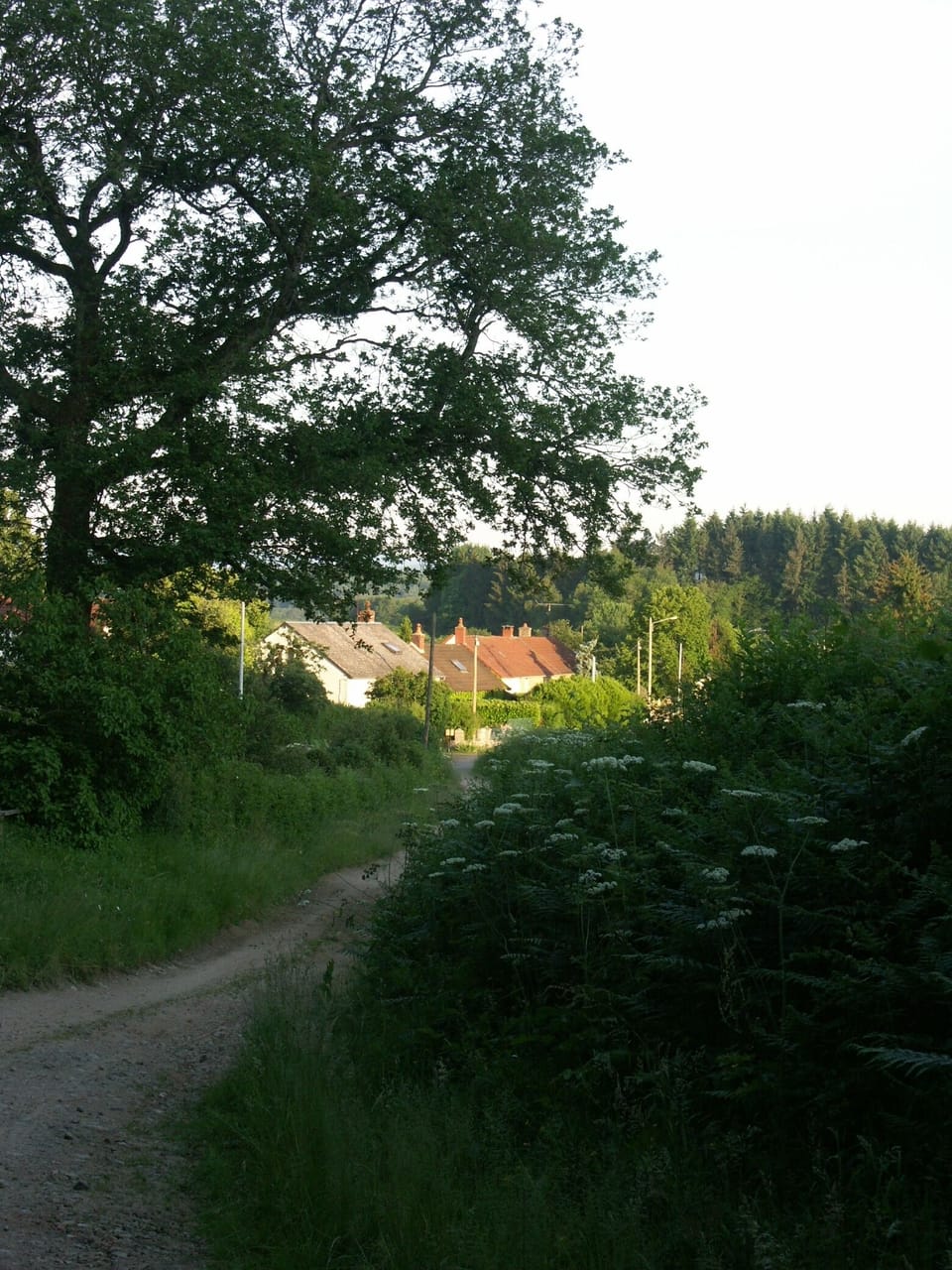 La Maison Rose