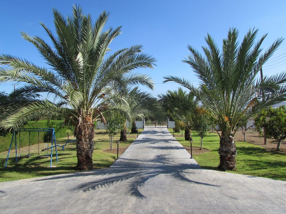view from the entrance